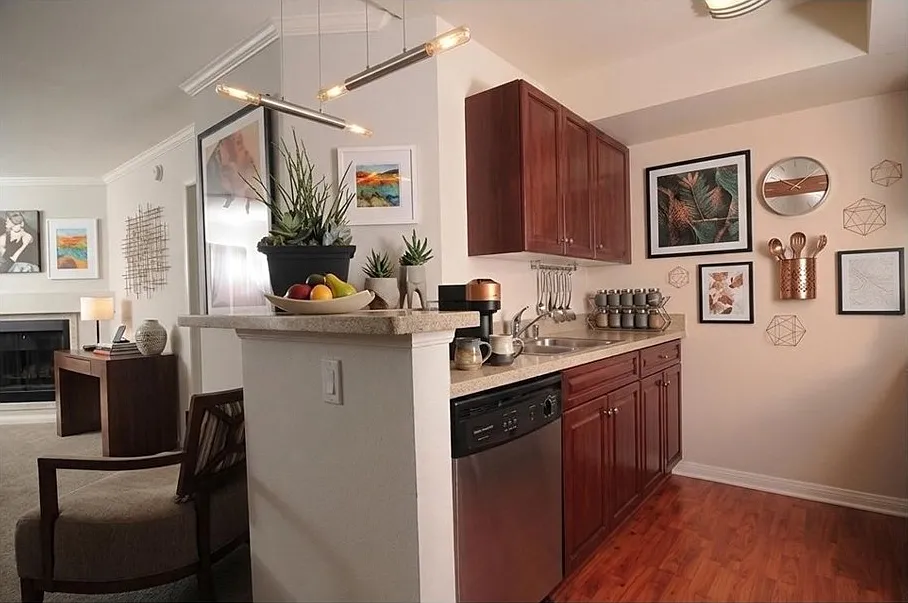 2 bed, 910 sqft, $2,900 — Photo 2
