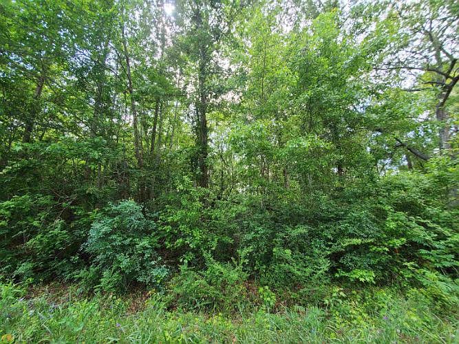 0 Lakeside Dr, Twin City, GA 30471 Zillow