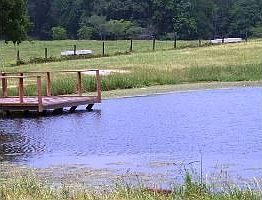 5th image of 1270 County Road 2106