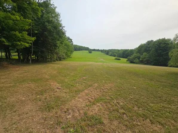 181 George Wade Rd, Guilford, NY 13780