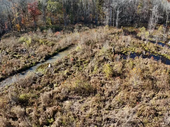 0 Benthall Bridge Rd, Murfreesboro, NC 27855