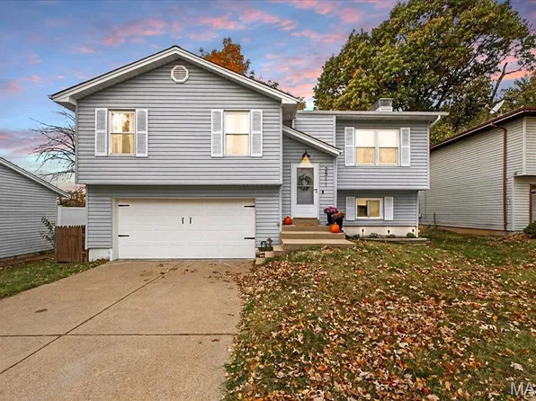 2511 Frances Ave, Saint Louis, MO 63114