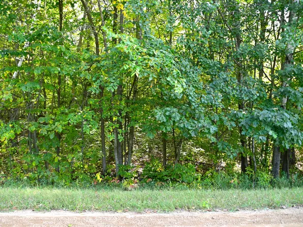 Penny Dr, Browerville, MN 56438