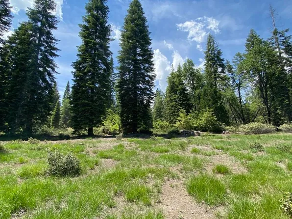 1-C-23 Mount Shasta Dr, McCloud, CA 96057