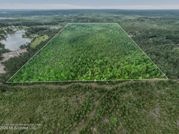 Blue Wood Dr, Vancleave, MS 39565