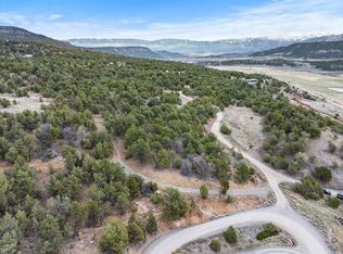 94 Pleasant Valley Dr, Ridgway, CO 81432