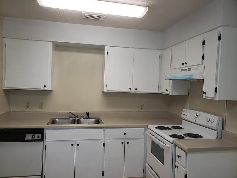 Updated kitchen with new cabinets and painted countertops and brand new range hood