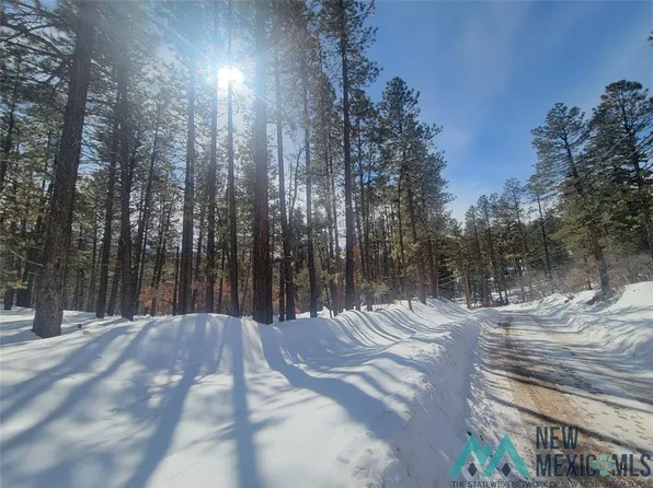 R 19s R 19n Serernity Dr, Chama, NM 87520