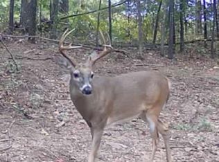Tracewood Dr, Dennard, AR 72629