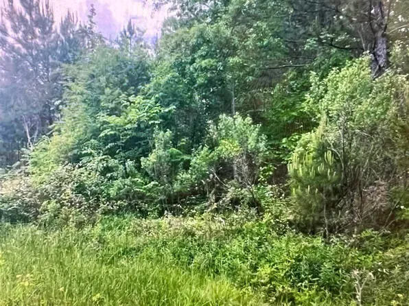 165 Shetland Trl #204, Alabaster, AL 35007