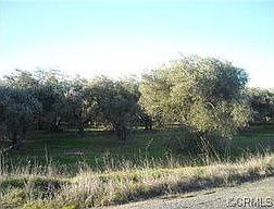 2nd image of 22403 Carona Ave