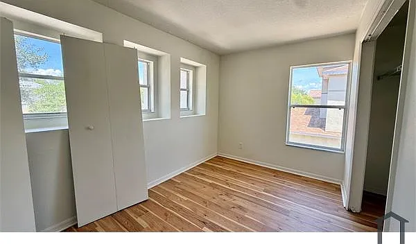 11009 Golden Silence Dr — Photo 10
