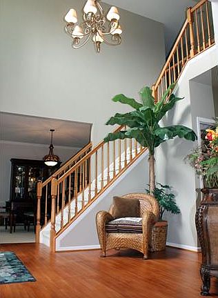 Stunning foyer with newly finished hardwood