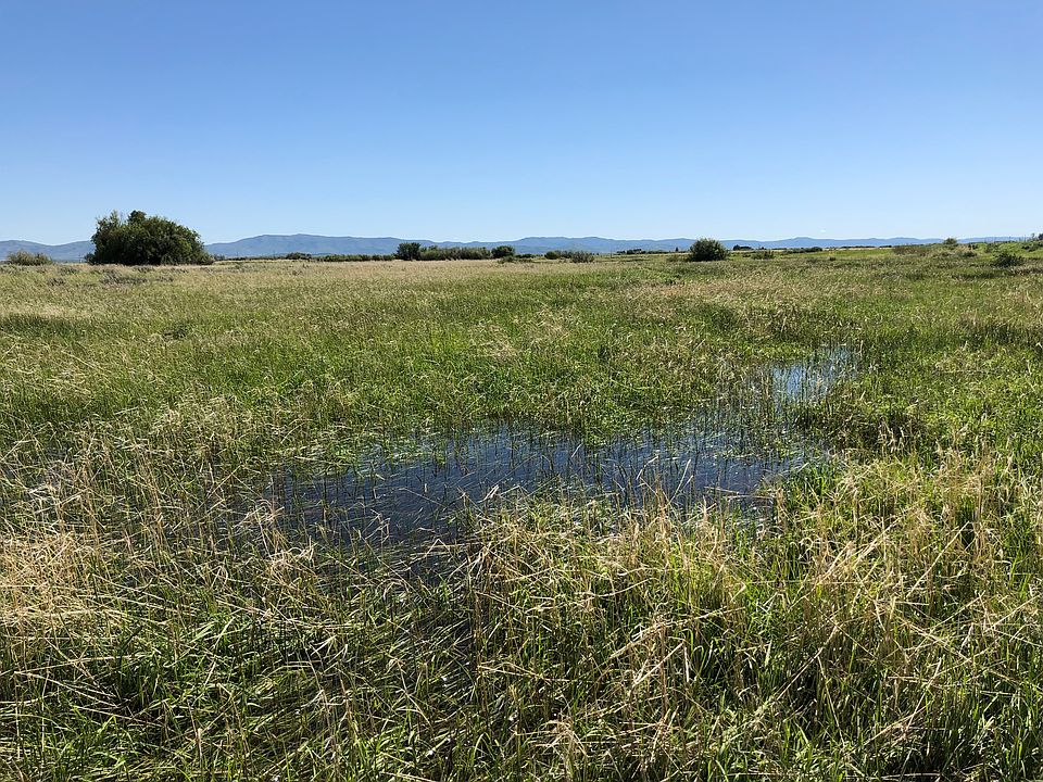 2nd image of 138 E Horseshoe Loop
