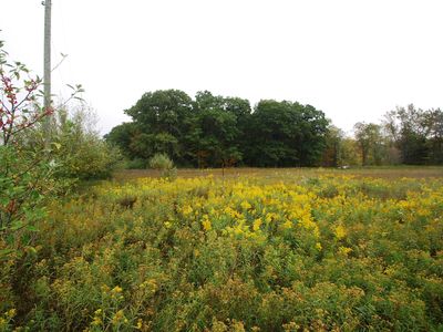 PARCEL 4A Jobin Dr, West Branch, MI, 48661