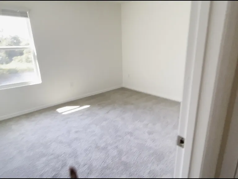 33367 Apricot Tree Ct — Photo 53