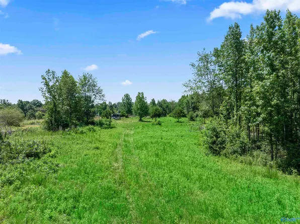 Esslinger Rd, Grant, AL 35747
