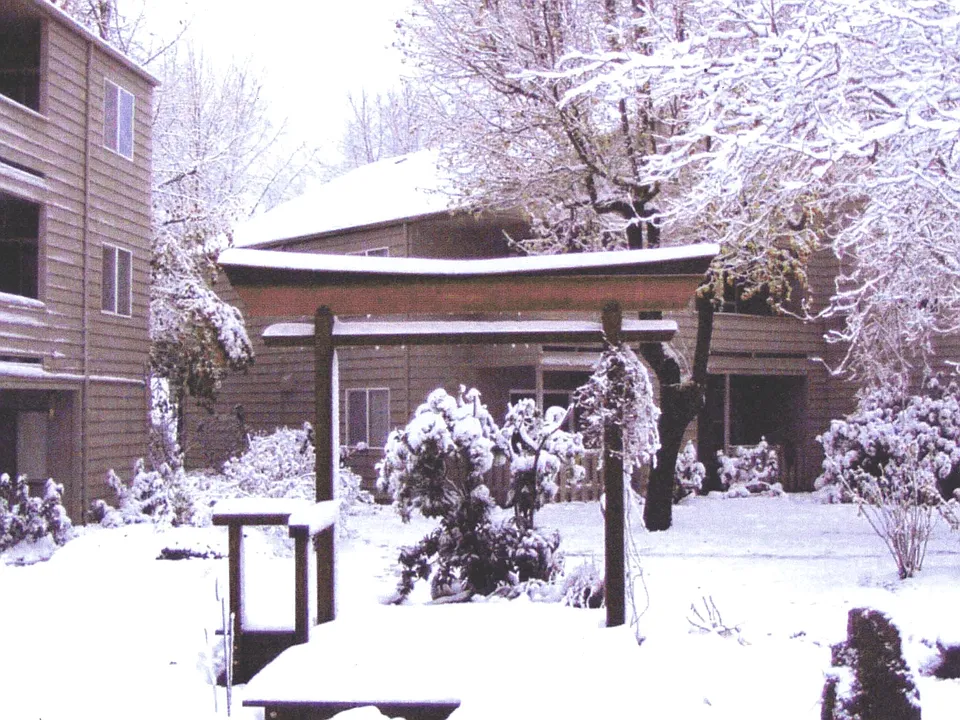 Beautiful in the SNOW!