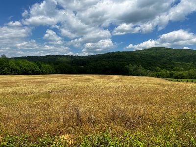 LOT 3 Cane Creek Cummingsville Rd, Spencer, TN, 38585