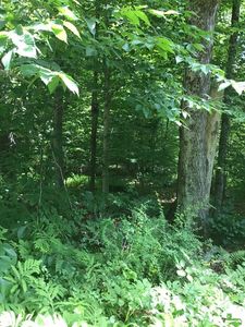 0 Bancroft Rd, Becket, MA, 01223