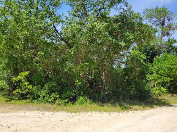 NE 152nd Ln Lot 1, Fort Mc Coy, FL 32134