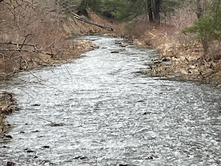 Creek runs behind the property , fishing allowed