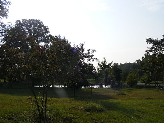 View from Screen Porch