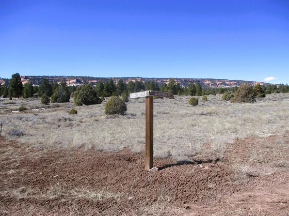 LOT 10 Sagebrush Rd, Ramah, NM 87321