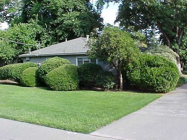 Building Photo 4