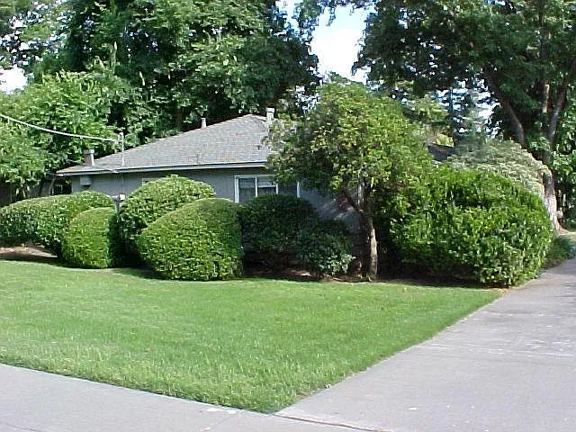 Building Photo 4