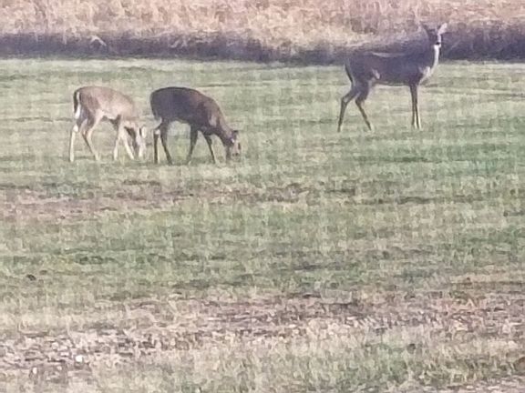 4th image of 5890 County Road 3950