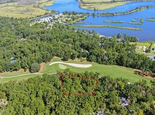 232 Myrtle Grove Lane, Richmond Hill, GA 31324