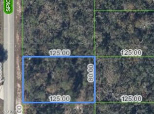 220 Spice Ave NE, Lake Placid, FL 33852