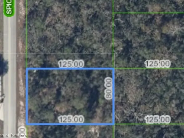 220 Spice Ave NE, Lake Placid, FL 33852