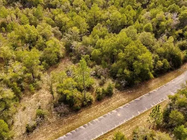 LOT# 42 DANDELION DRIVE LOT 42, CHIPLEY, FL 32428