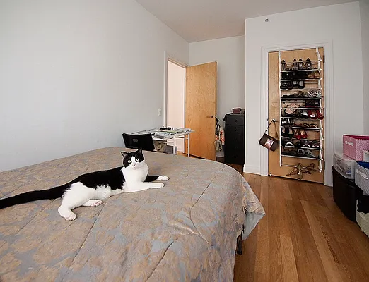 Rented by Owner | media 19