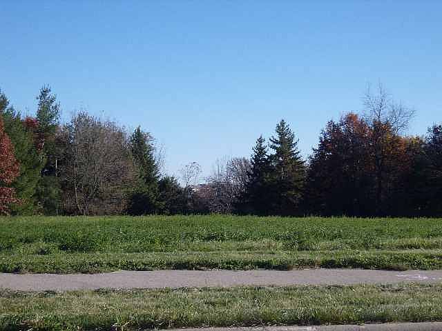 2nd image of 1001 Quinn Dr