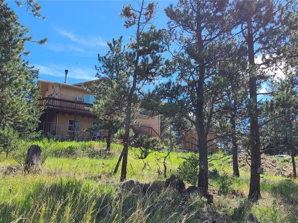 445 Rosalie Road, Bailey, CO 80421
