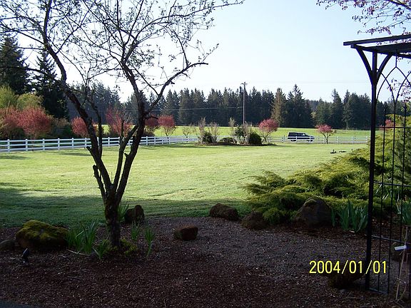 Front Property