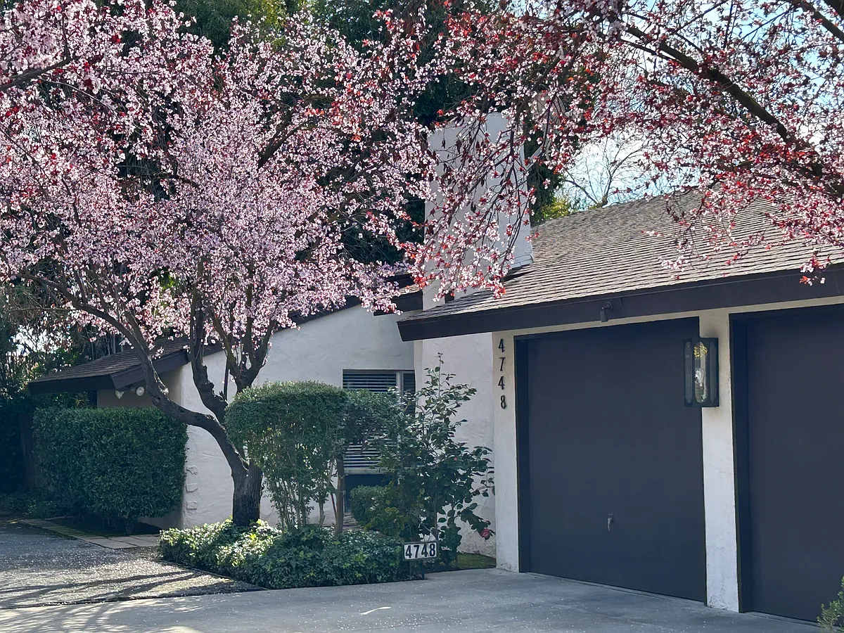 Building Photo - 4746 N San Pablo Ave