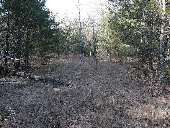 3rd image of Kirk Mountain Rd