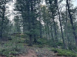 83 Sodalite Rd, Divide, CO 80814