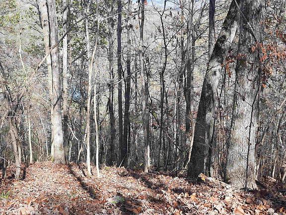 2nd image of (Undisclosed Address)