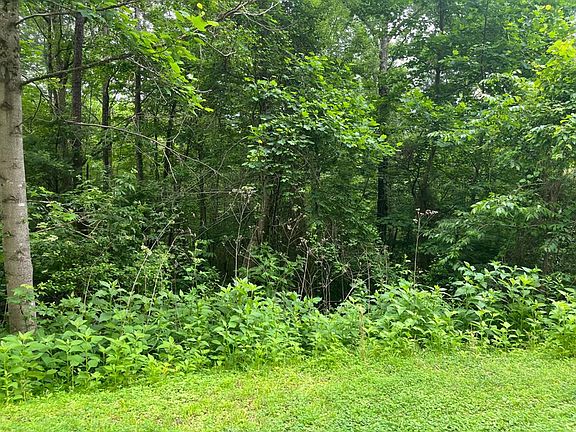 4th image of 32R Roaring Forks Ln