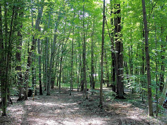 5th image of 0 Chwastek Rd NE