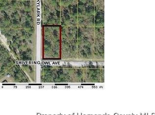 0 Shivering Owl Ave, Brooksville, FL 34614