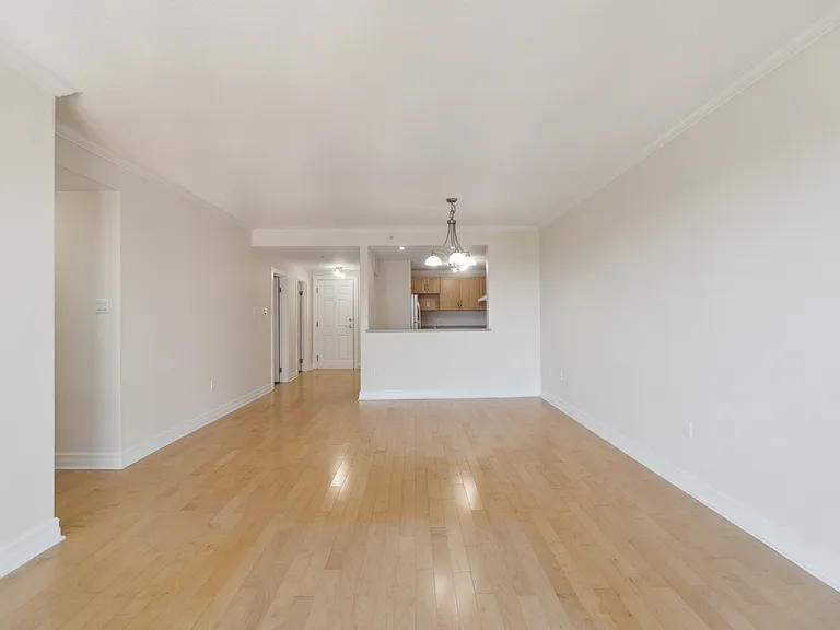 10 Horizon Ct #1101 — Photo 5