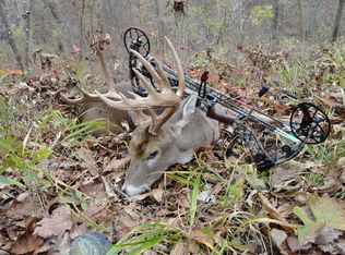 395 SE 850th Rd, Leeton, MO 64761