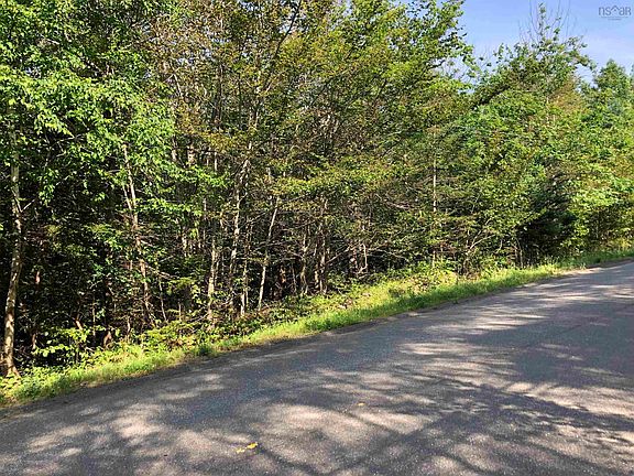 2nd image of Lighthouse Rd