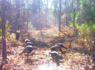 1145 Maddox Rd, Marianna, FL 32448